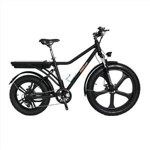 Electric Mountain Bike